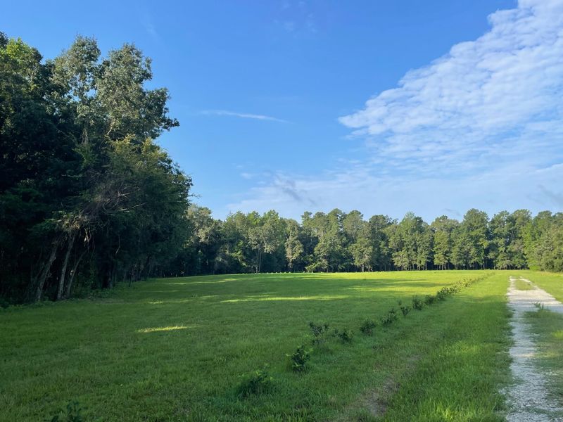 583 High Plains Ct, Ridgeville, SC 29472