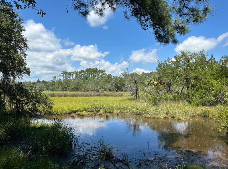 8370 Shell House Rd, Edisto Island, SC 29438