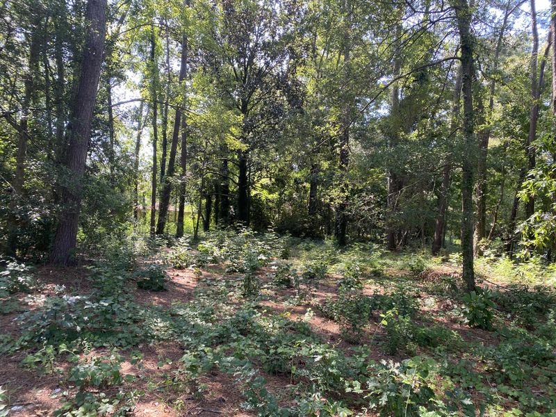 00 Ladson Rd, Ladson, SC 29456