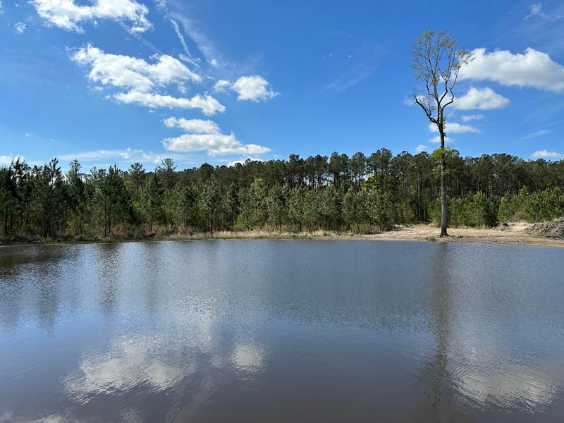 215 Rudd Rd, Ridgeville, SC 29472