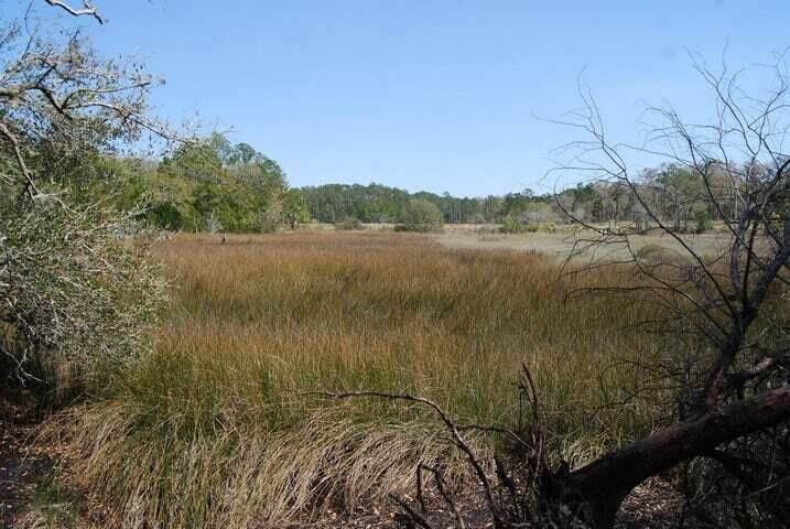 5955 Bears Bluff Rd, Wadmalaw Island, SC 29487