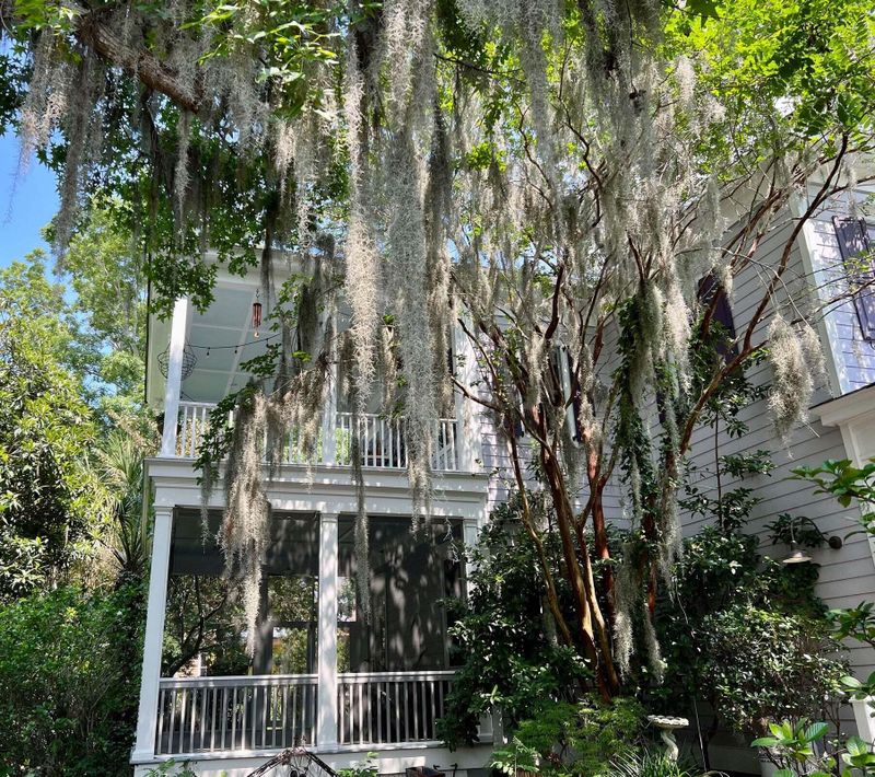 264 N Shelmore Blvd, Mount Pleasant, SC 29464