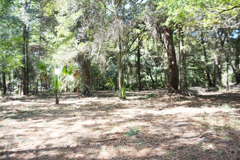 69 Deer, Edisto Island, SC 29438