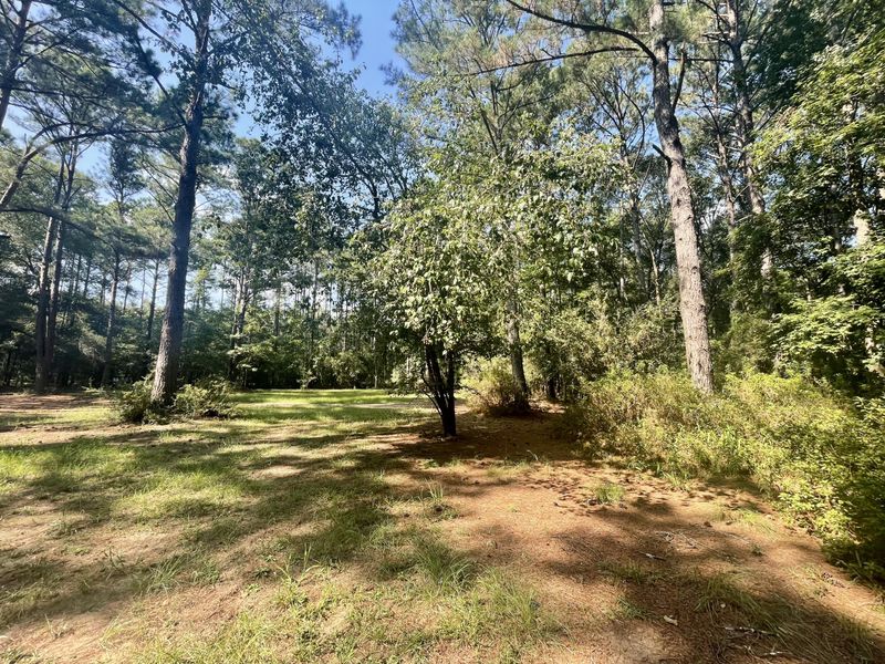 5005 Rackity Hall Rd, Wadmalaw Island, SC 29487