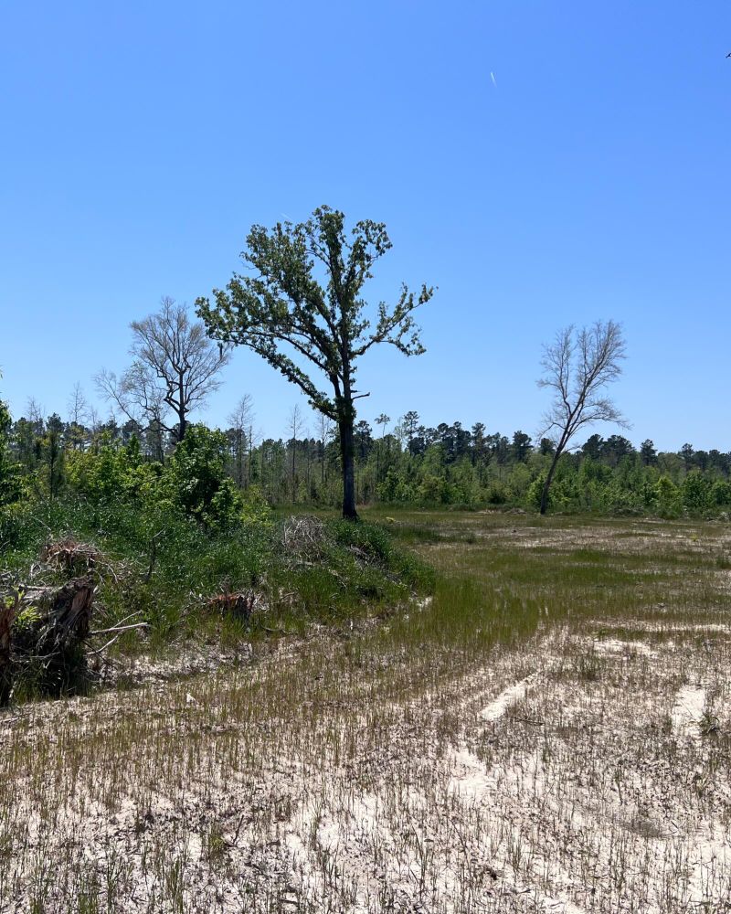 5 Sc 27, Ridgeville, SC 29472