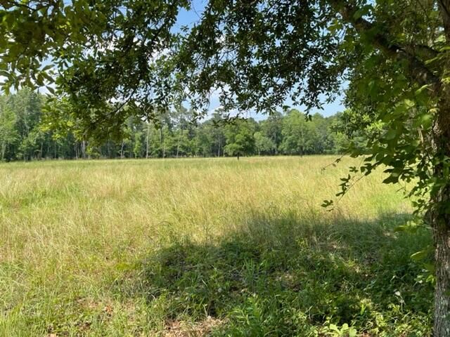 320 Mercantile Rd Lot 2, Mcclellanville, SC 29458
