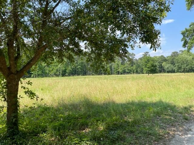 320 Mercantile Rd Lot 2, Mcclellanville, SC 29458