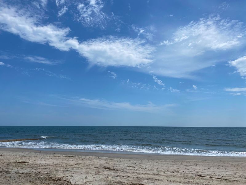 302 Jungle Rd, Edisto Beach, SC 29438