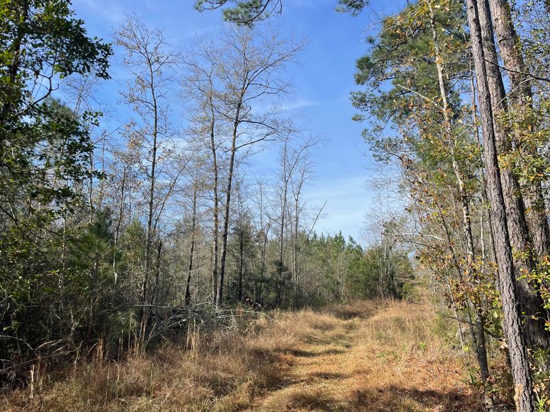1 Weenee Rd, Jamestown, SC 29453