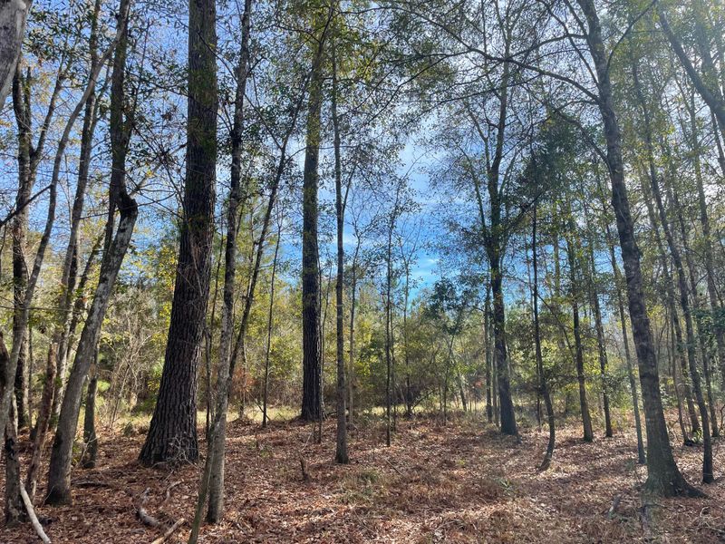 1 Weenee Rd, Jamestown, SC 29453