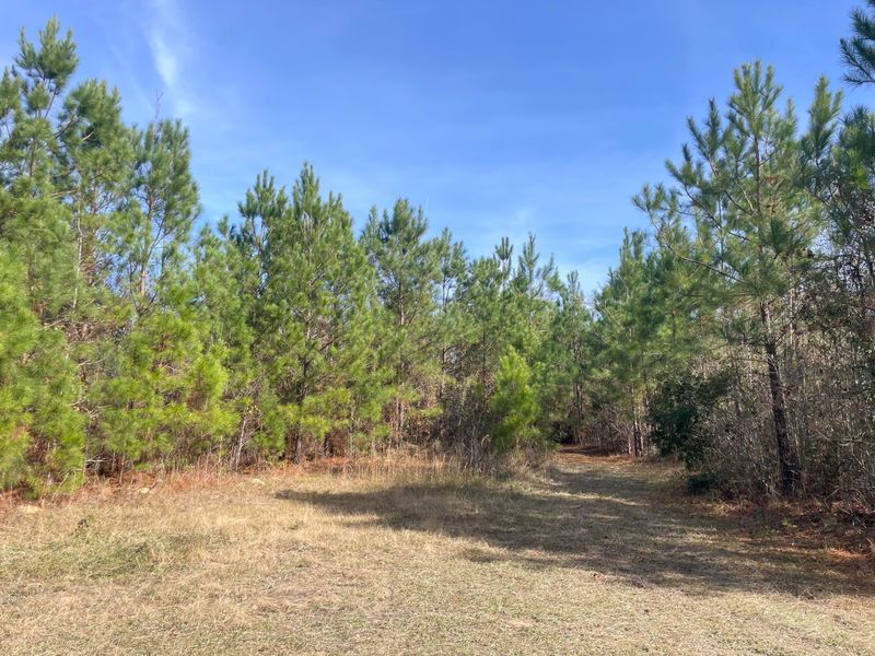 1 Weenee Rd, Jamestown, SC 29453
