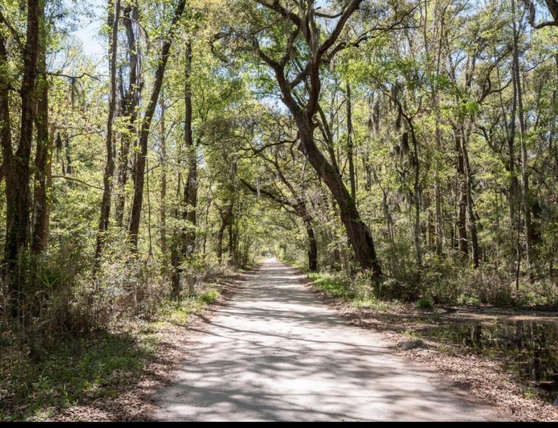 19 Hopkins Place Lot 19 Dr, Edisto Island, SC 29438
