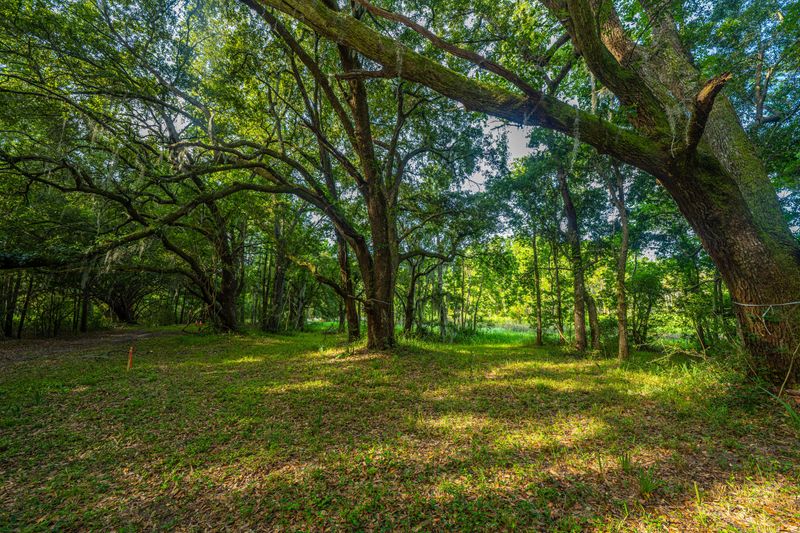 003 Guerins Bridge Rd, Awendaw, SC 29429
