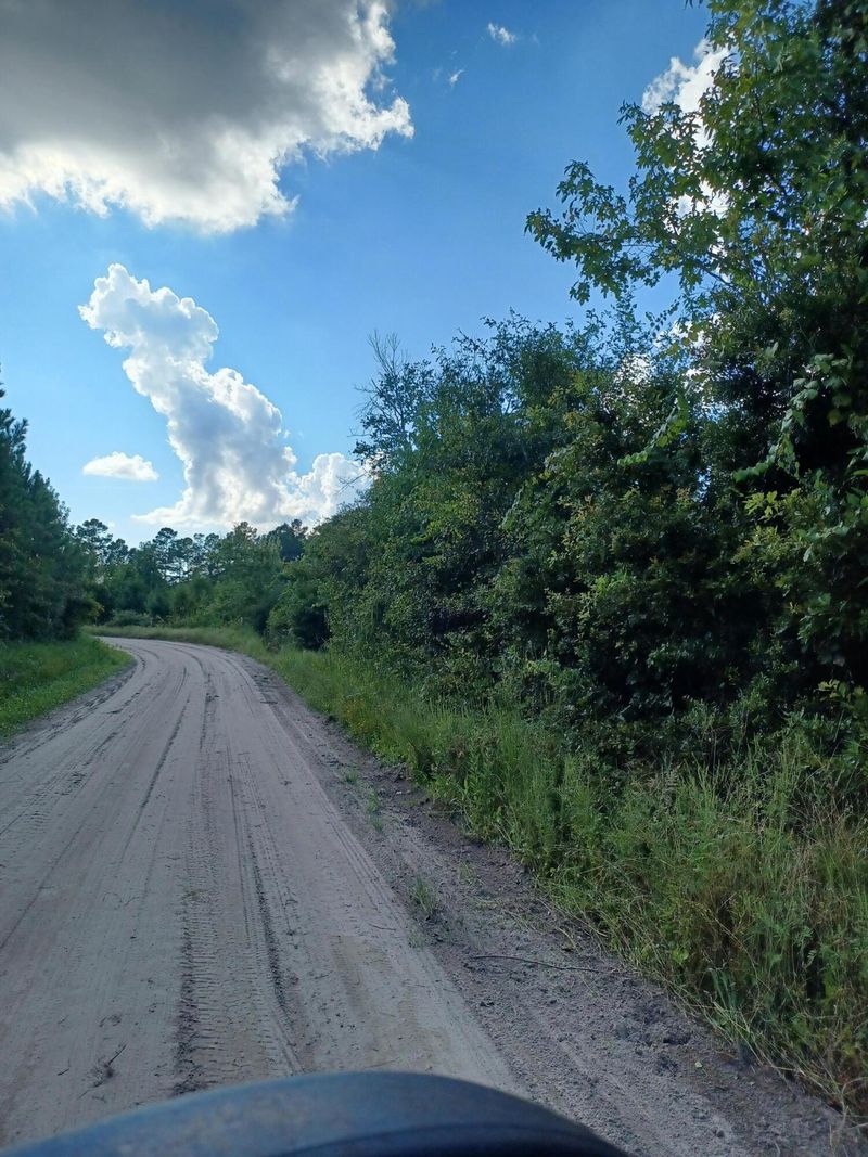 0 Bird Pond Rd, Reevesville, SC 29471