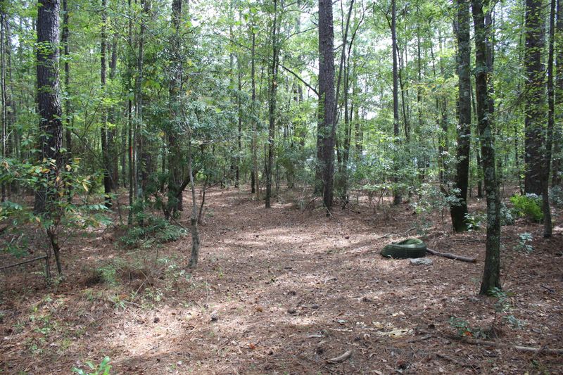 0 Ponderosa Rd, Summerville, SC 29483