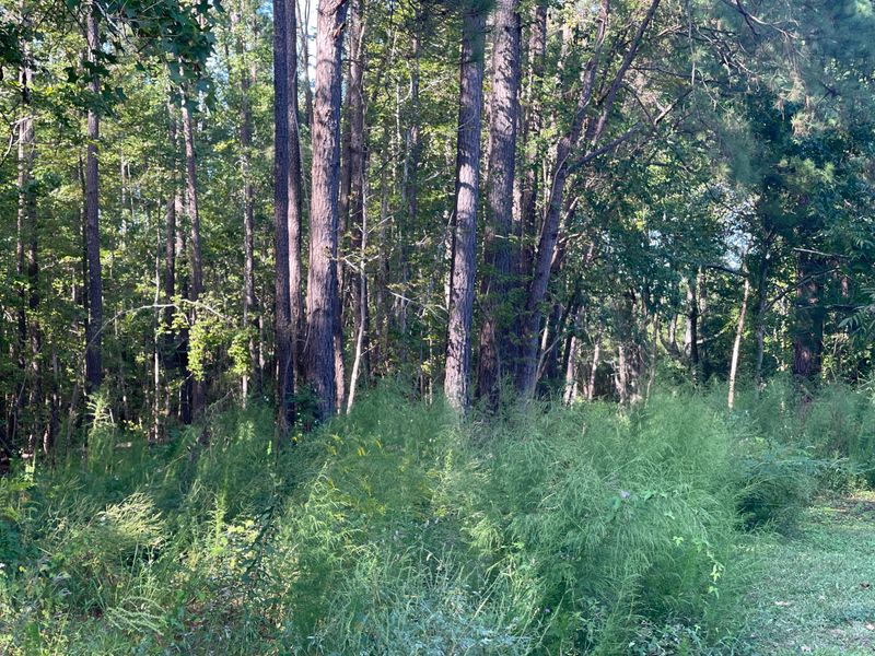 0 Primus Ct, Moncks Corner, SC 29461
