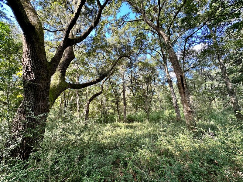 0 Blackbear Dr Lot 2, Edisto Island, SC 29438