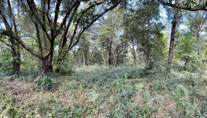 0 Blackbear Dr Lot 2, Edisto Island, SC 29438