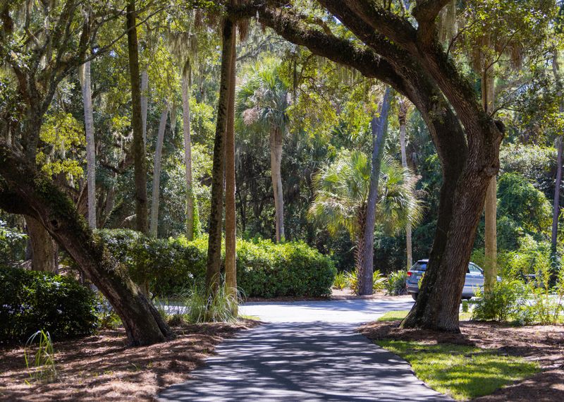 3011 Hidden Oak Dr, Seabrook Island, SC 29455