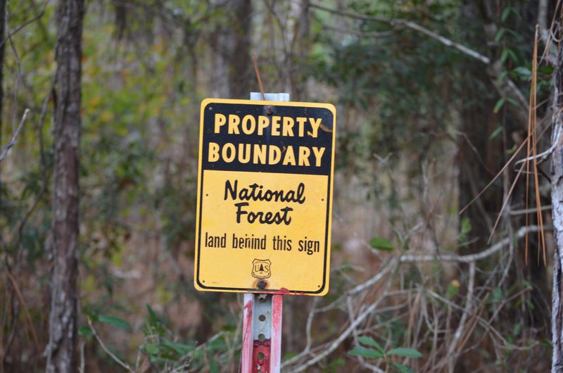 9250 Culloden Rd, Mcclellanville, SC 29458