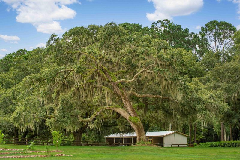 4003 Ballovista Ln, Johns Island, SC 29455