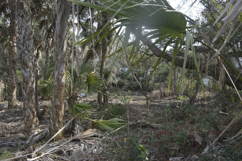 916 E Ashley Ave, Folly Beach, SC 29439