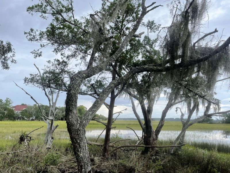3 Long Island Rd, Meggett, SC 29449