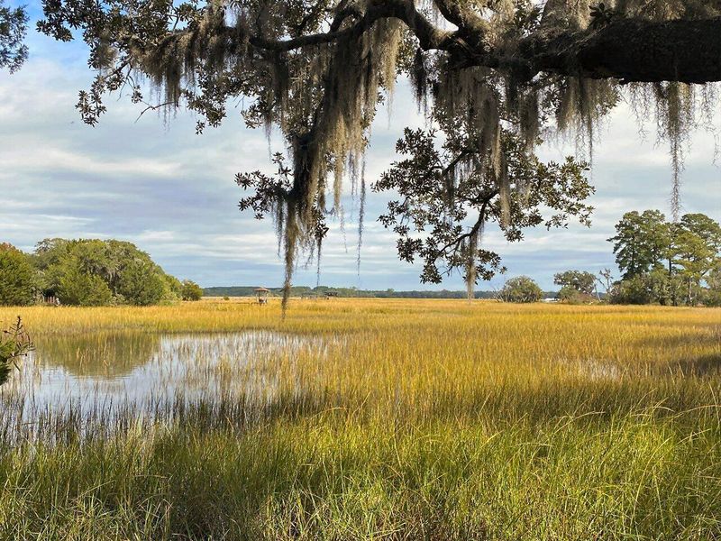 3 Long Island Rd, Meggett, SC 29449