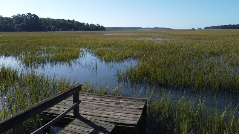 8639 Middleton Point Ln, Edisto Island, SC 29438