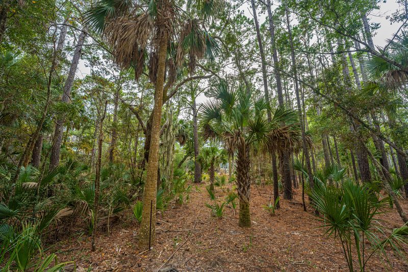 15 Sweetgrass Ln, Kiawah Island, SC 29455