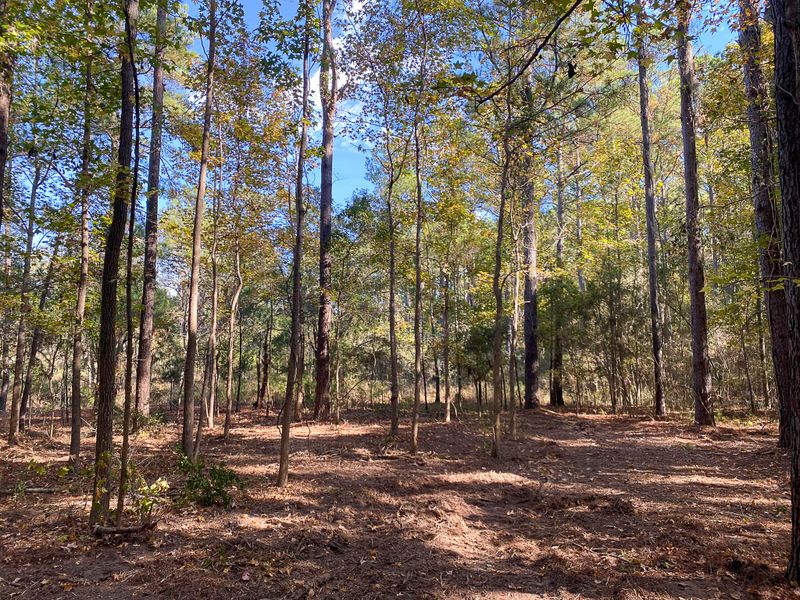 6026 Admiral Blake Ln, Wadmalaw Island, SC 29487