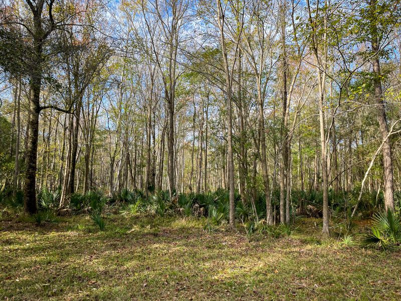 1700 Liberia Rd, Wadmalaw Island, SC 29487