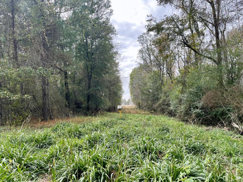 0 Peele Rd, Saint George, SC 29477