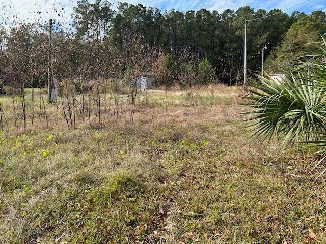 449 Gurley St, Mount Pleasant, SC 29464
