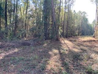 120 Grace Ln, Summerville, SC 29483