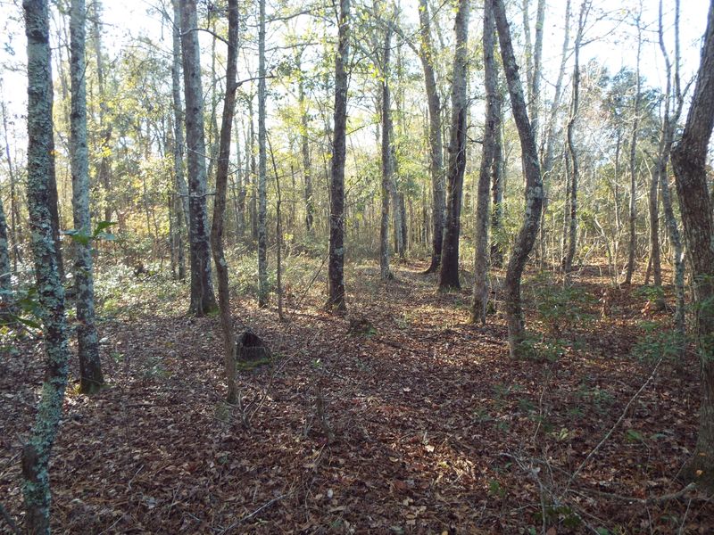 0 Cleveland Ln, Saint Stephen, SC 29479