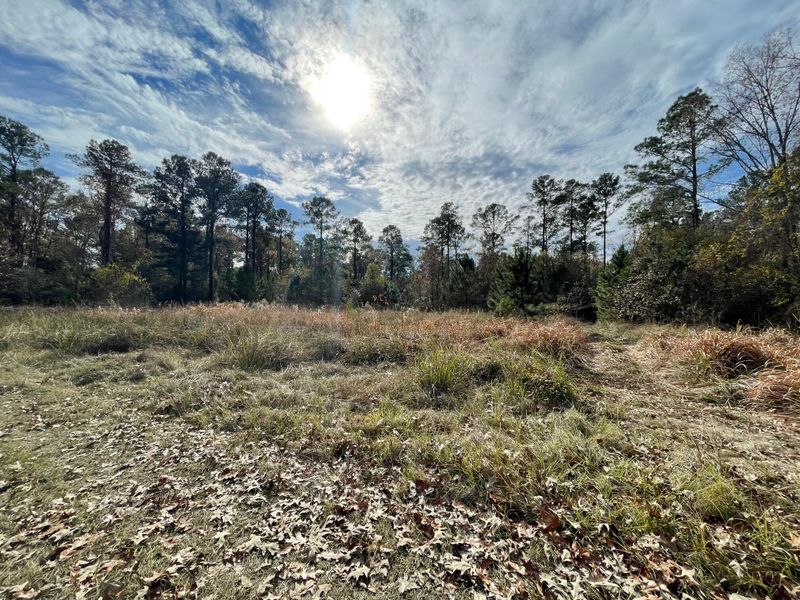 0 Gaited Horse Rd, Meggett, SC 29449