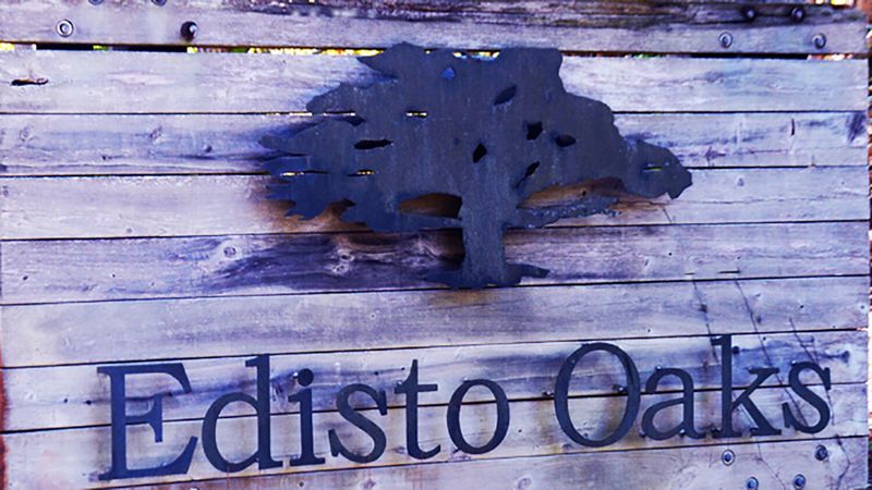 60 Seaside Plantation Ln, Edisto Island, SC 29438