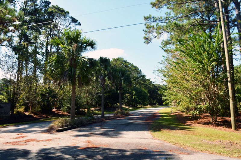 60 Seaside Plantation Ln, Edisto Island, SC 29438