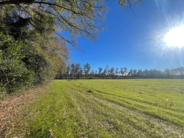 2 Old Wiggins Rd, Holly Hill, SC 29059
