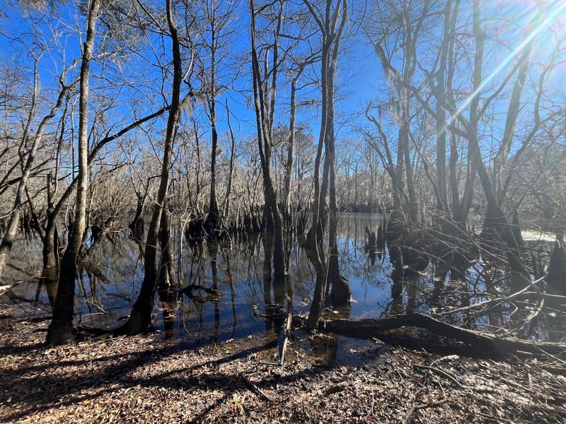 369 Natures Trl, Ridgeville, SC 29472