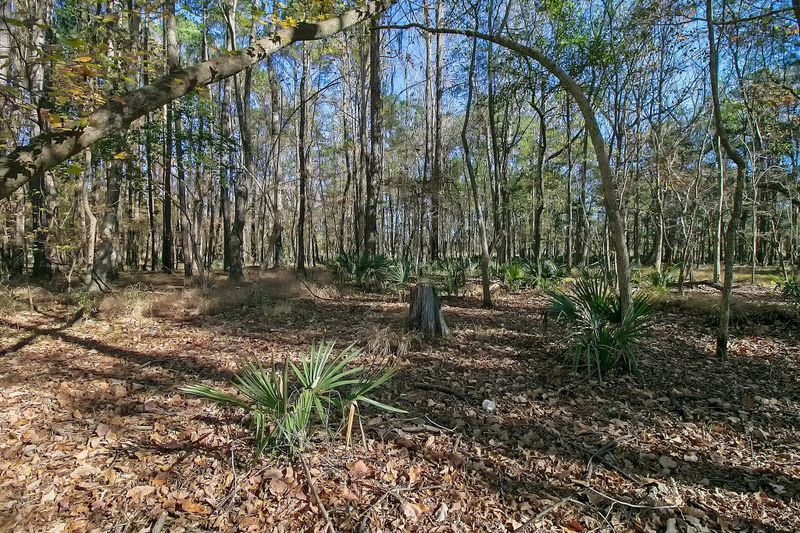 740 Certificate Ct, Charleston, SC 29414