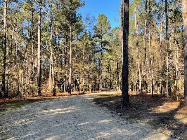481 Creek Estates Ln, Bonneau, SC 29431