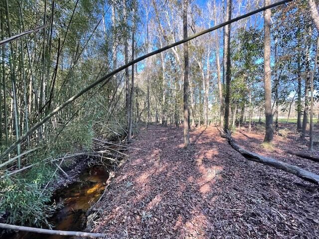 6 Old Wiggins Rd, Holly Hill, SC 29059