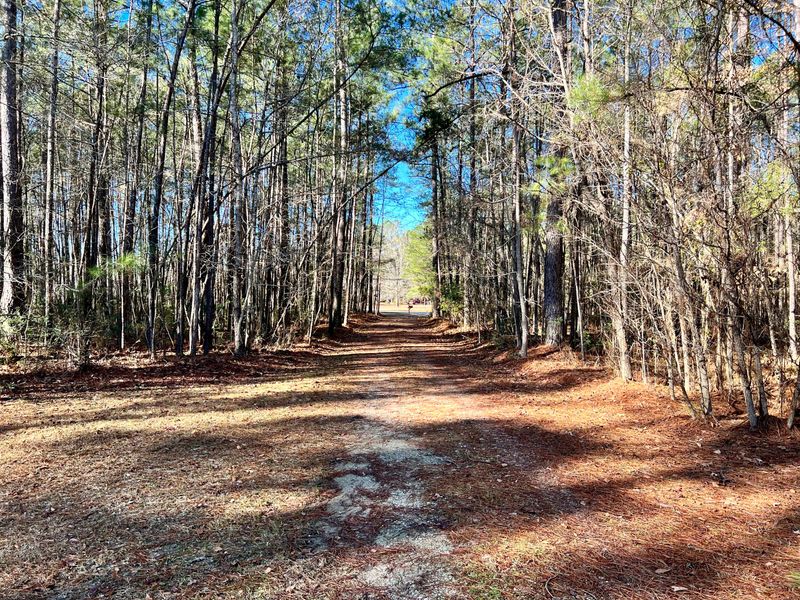 131 Foxden Ln, Bonneau, SC 29431