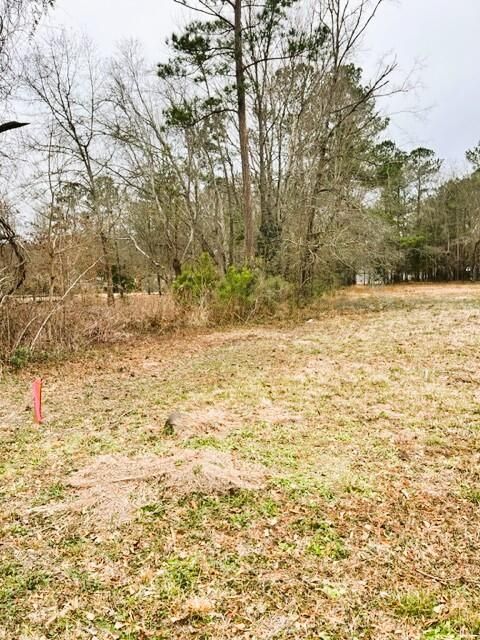 0 George Ln, Bonneau, SC 29431
