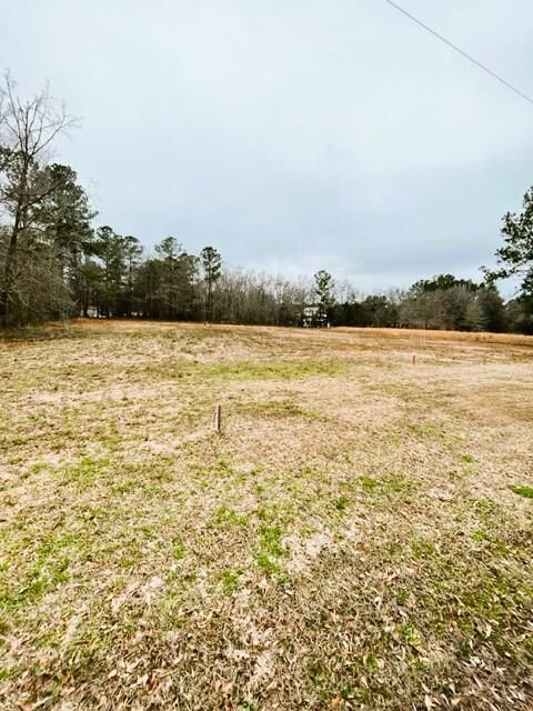 0 George Ln, Bonneau, SC 29431