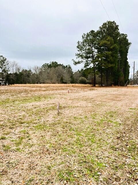 0 George Ln, Bonneau, SC 29431