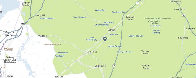 817 Murrayhill Ln, Cordesville, SC 29434