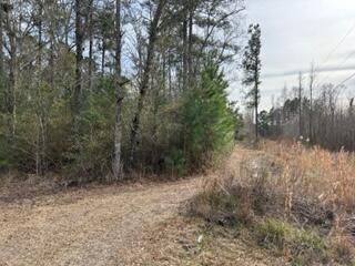 0 Gallashaw Rd, Summerville, SC 29483